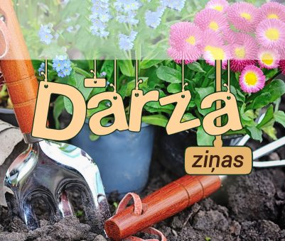 Ziņas