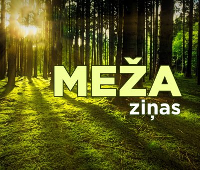 Ziņas