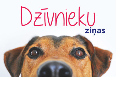 Ziņas