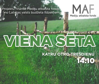 Viena sēta